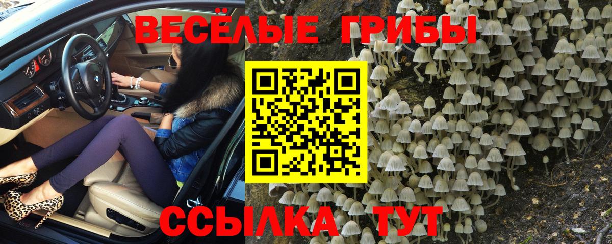 Галлюциногенные грибы MAGIC MUSHROOMS  Галлюциногенные грибы GOLDEN TEACHER  Строитель  Вход с VPN 